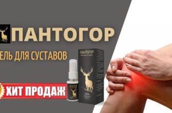 Пантогор для суставов