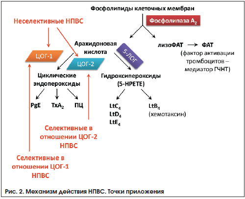 Принцип действия