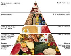 Важность разнообразного питания