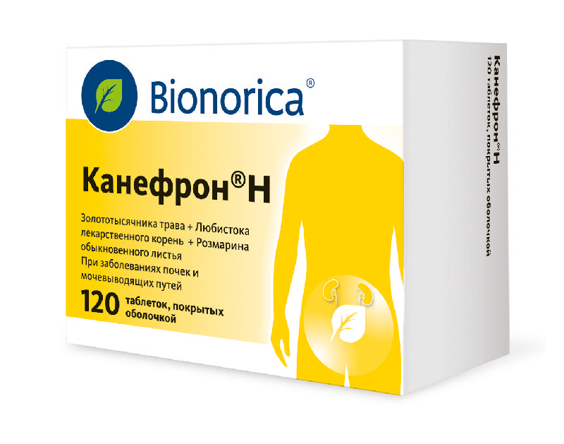 Преимущества применения Канефрона при лечении простатита