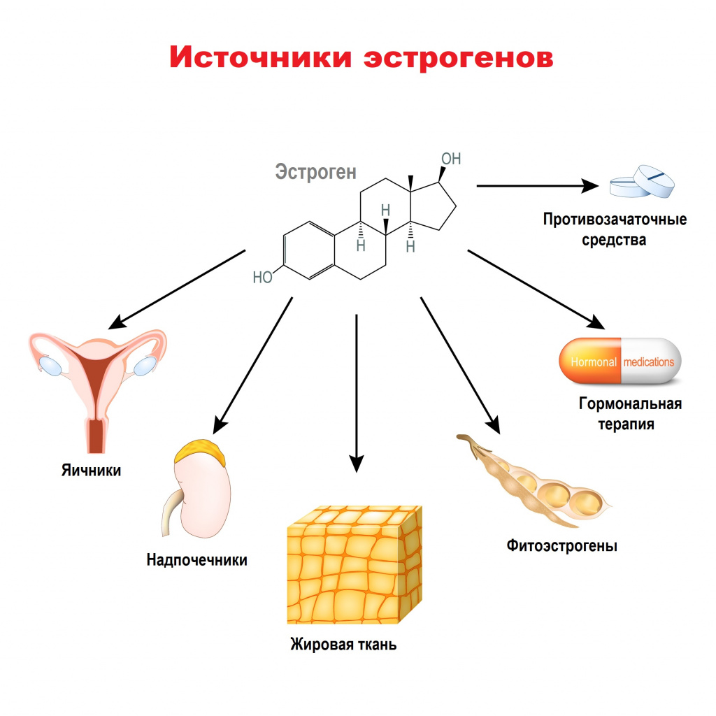 1. Поддерживайте здоровый образ жизни