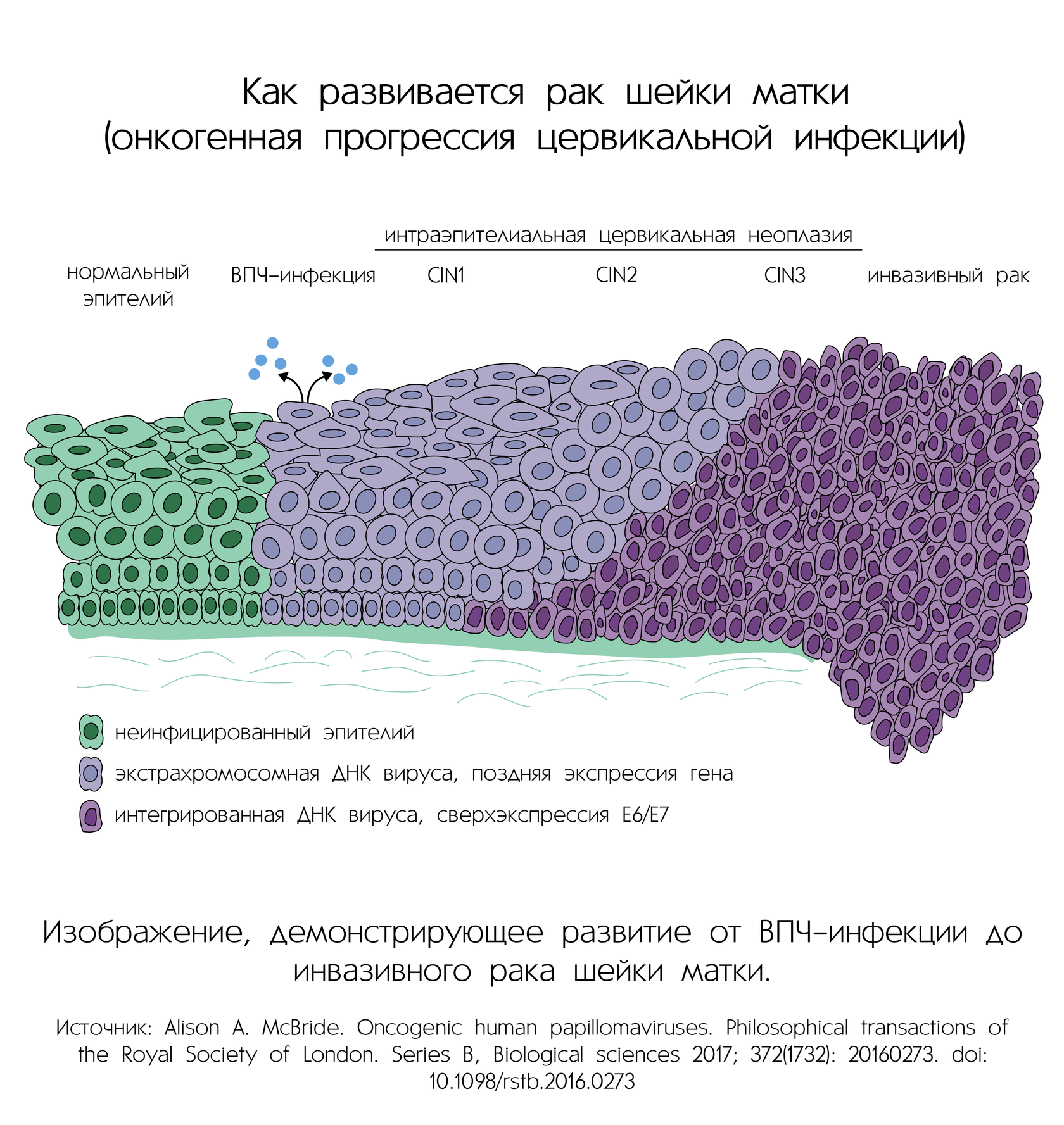 Безопасность прививок: исследования и результаты