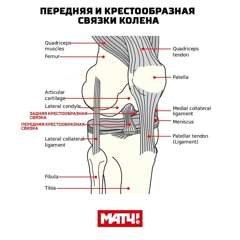 Диагностика и обследование при жидкости в коленном суставе