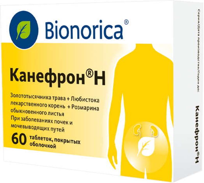 Канефрон и его роль в лечении простатита