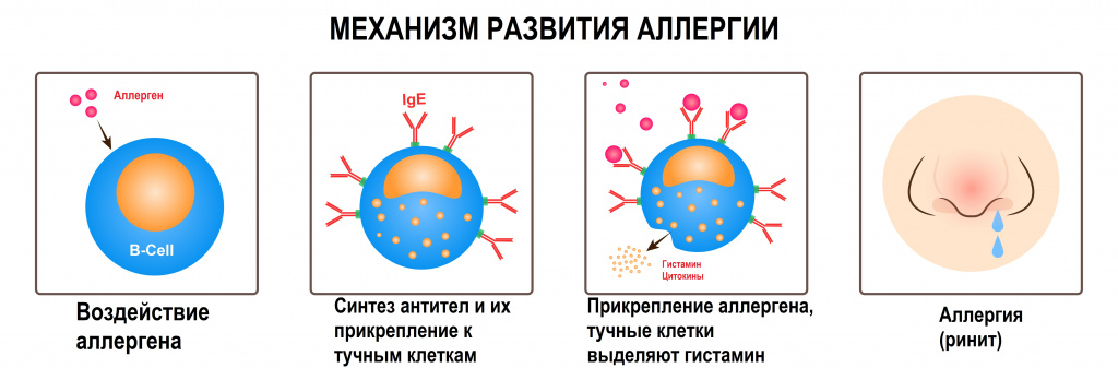 Профилактика холодового ринита и укрепление иммунитета