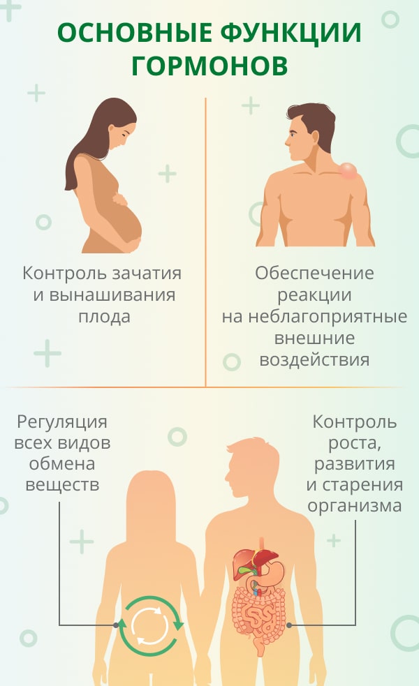 Как гормоны влияют на работу нервной системы?