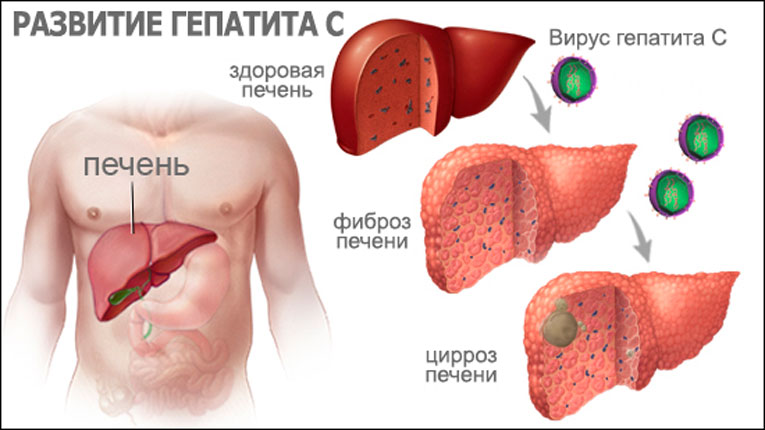 Определение и важность генотипов