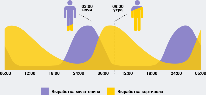 1. Ягоды и фрукты