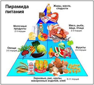 Что такое пирамида питания?