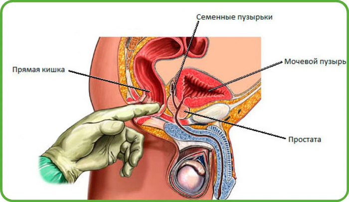 Следите за своим питанием и исключите вредные продукты