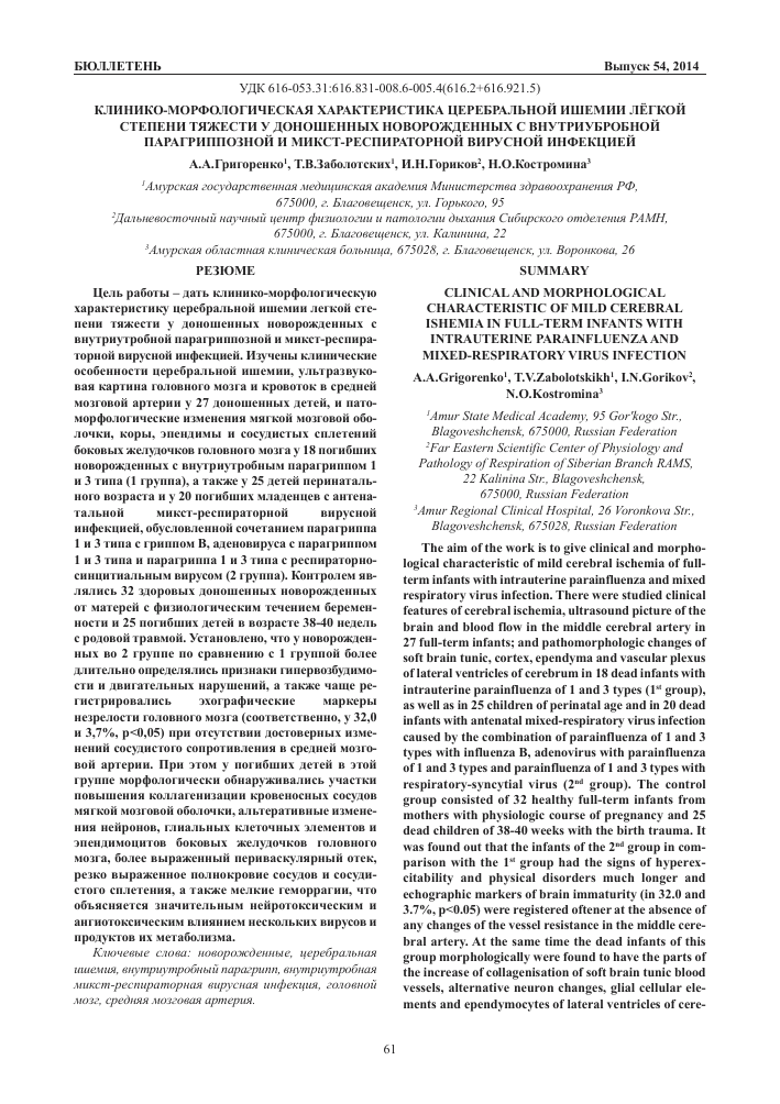 Лечение церебральной ишемии головного мозга 1 степени у новорожденного
