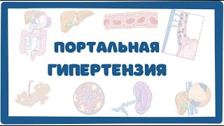 Что такое портальная гипертензия?