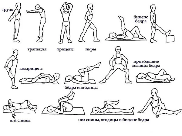 Симптомы и причины остеохондроза поясничного отдела позвоночника