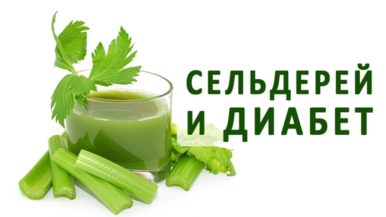 Польза сельдерея для организма при сахарном диабете 2 типа