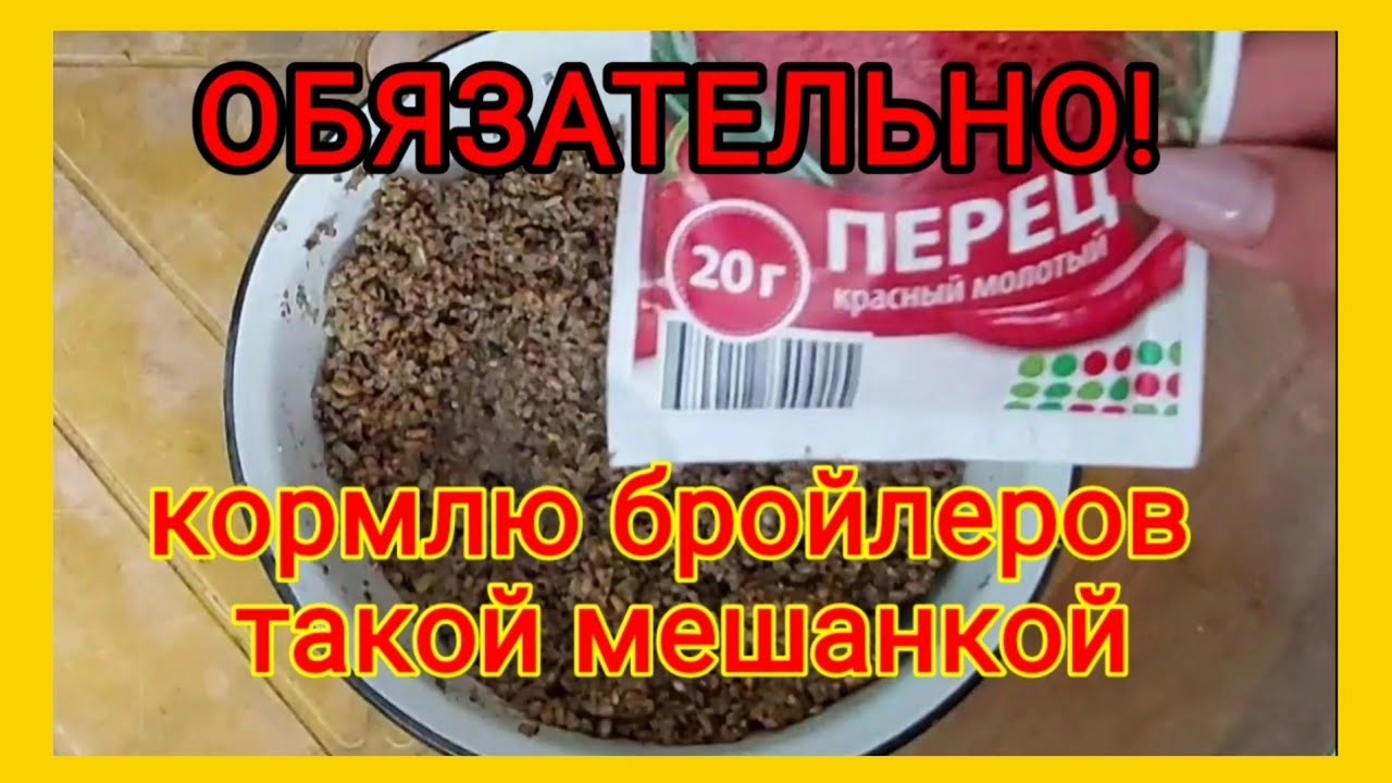 Меры профилактики глистов