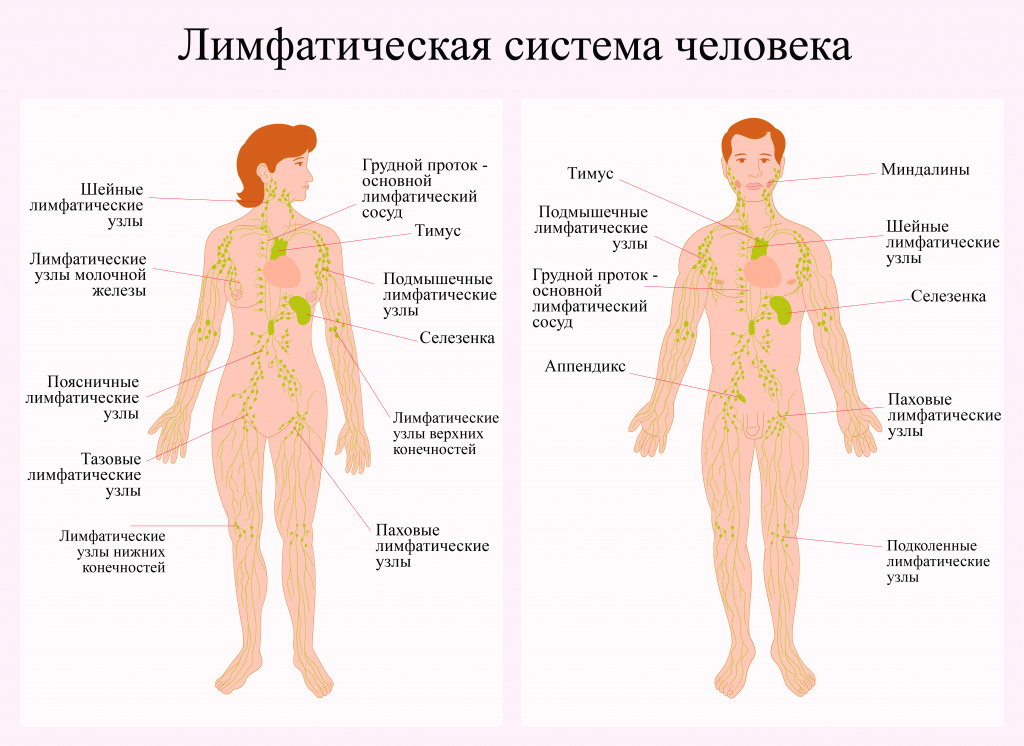Прогноз жизни для разных подтипов неходжкинской лимфомы