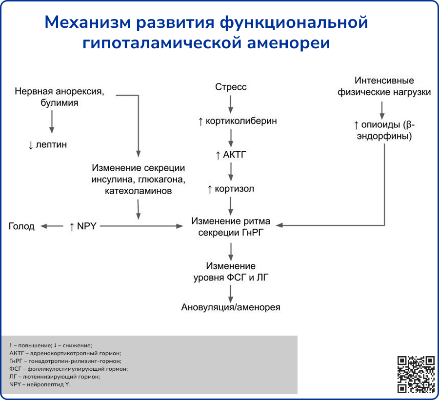 Синдром поликистозных яичников