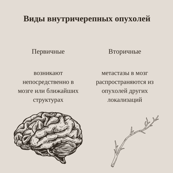 Клинический осмотр