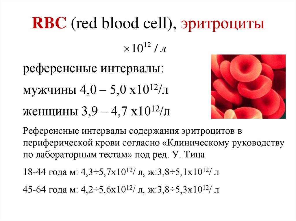 Симптомы высоких эритроцитов у женщин