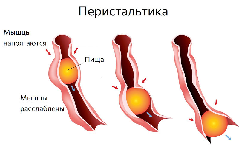 Нарушение моторики кишечника