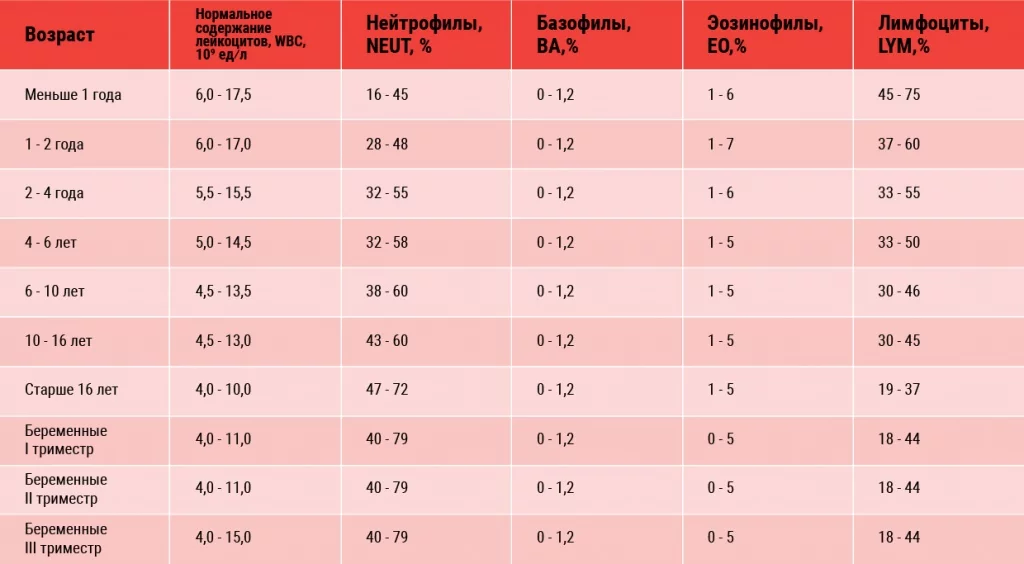 Роль и функции ретикулоцитов