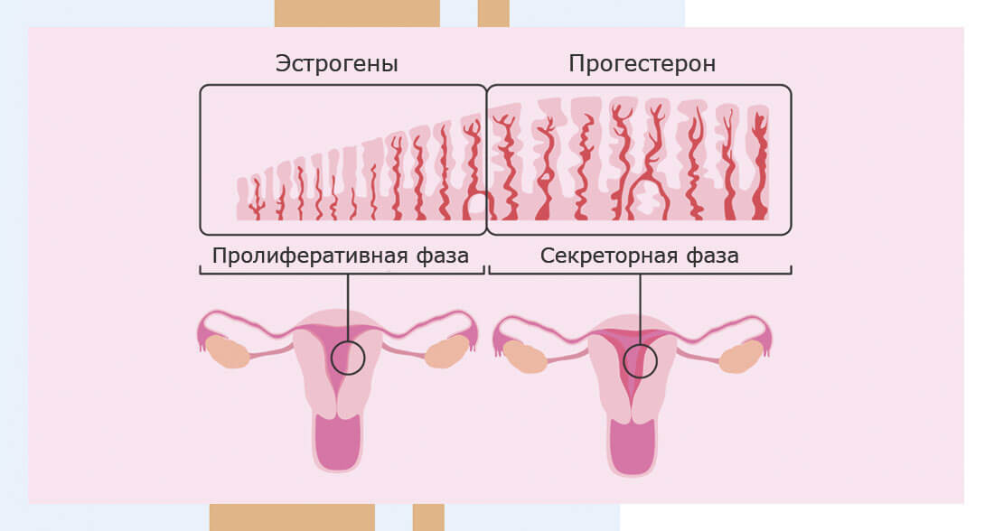 Стресс и его влияние на эндометрий