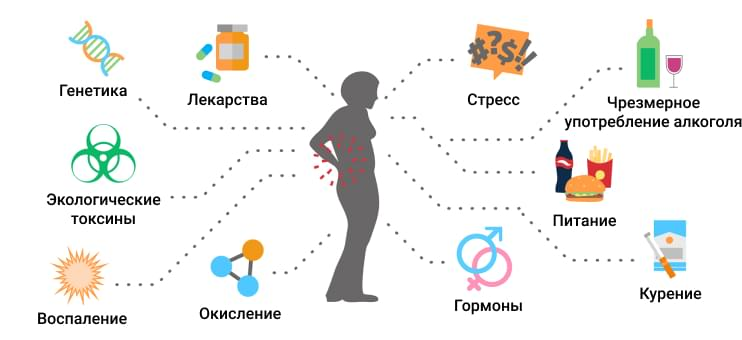 Остеопороз: препараты для лечения болезни