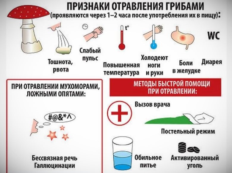 2. Купите грибы у проверенных продавцов