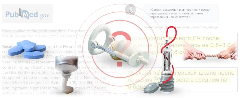 Правильное питание для укрепления пениса