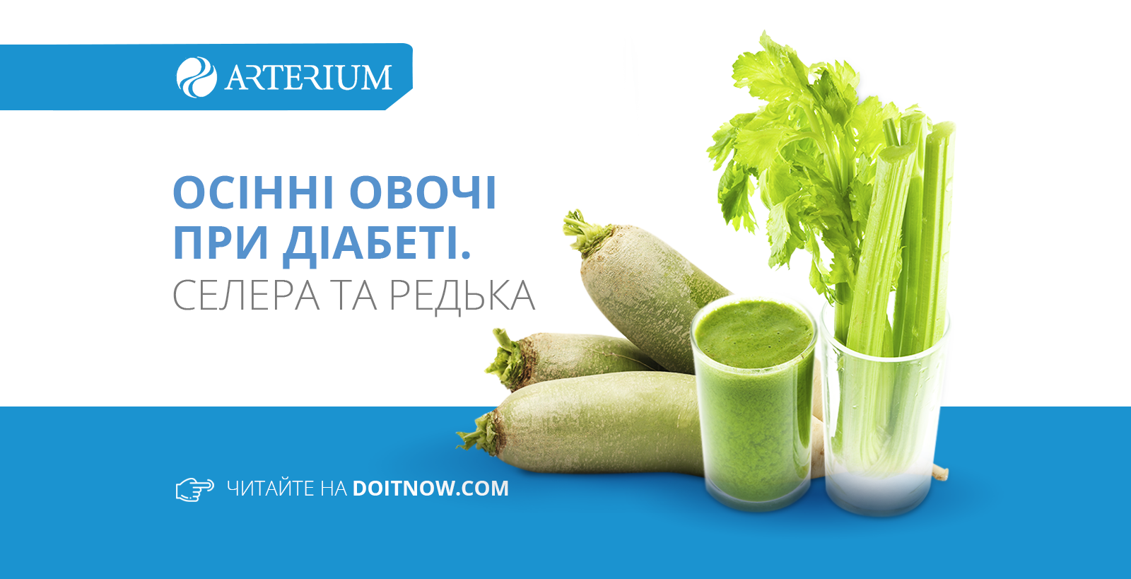 Возможные побочные эффекты при употреблении сельдерея при сахарном диабете 2 типа