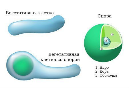 Предосторожность при уличных играх