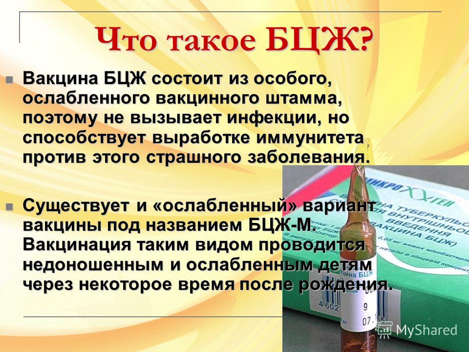 Как узнать, что вакцина БЦЖ сработала?