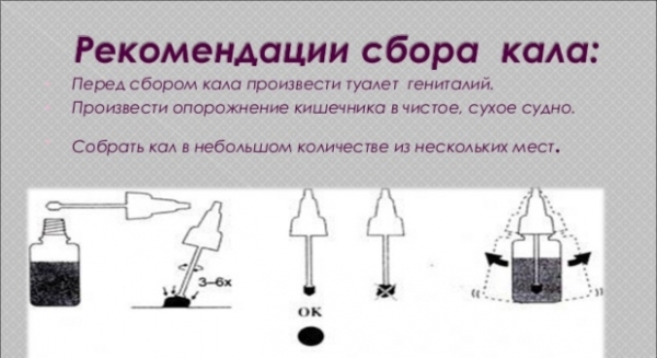 Как интерпретировать результаты анализа кала