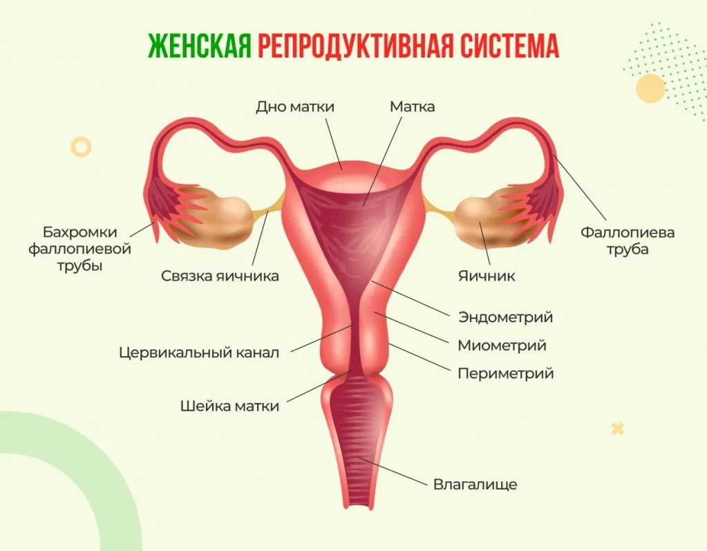 Осложнения гиперемированной шейки матки
