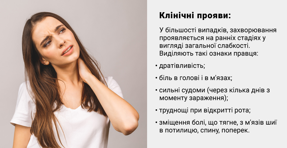 Укусы животных или насекомых